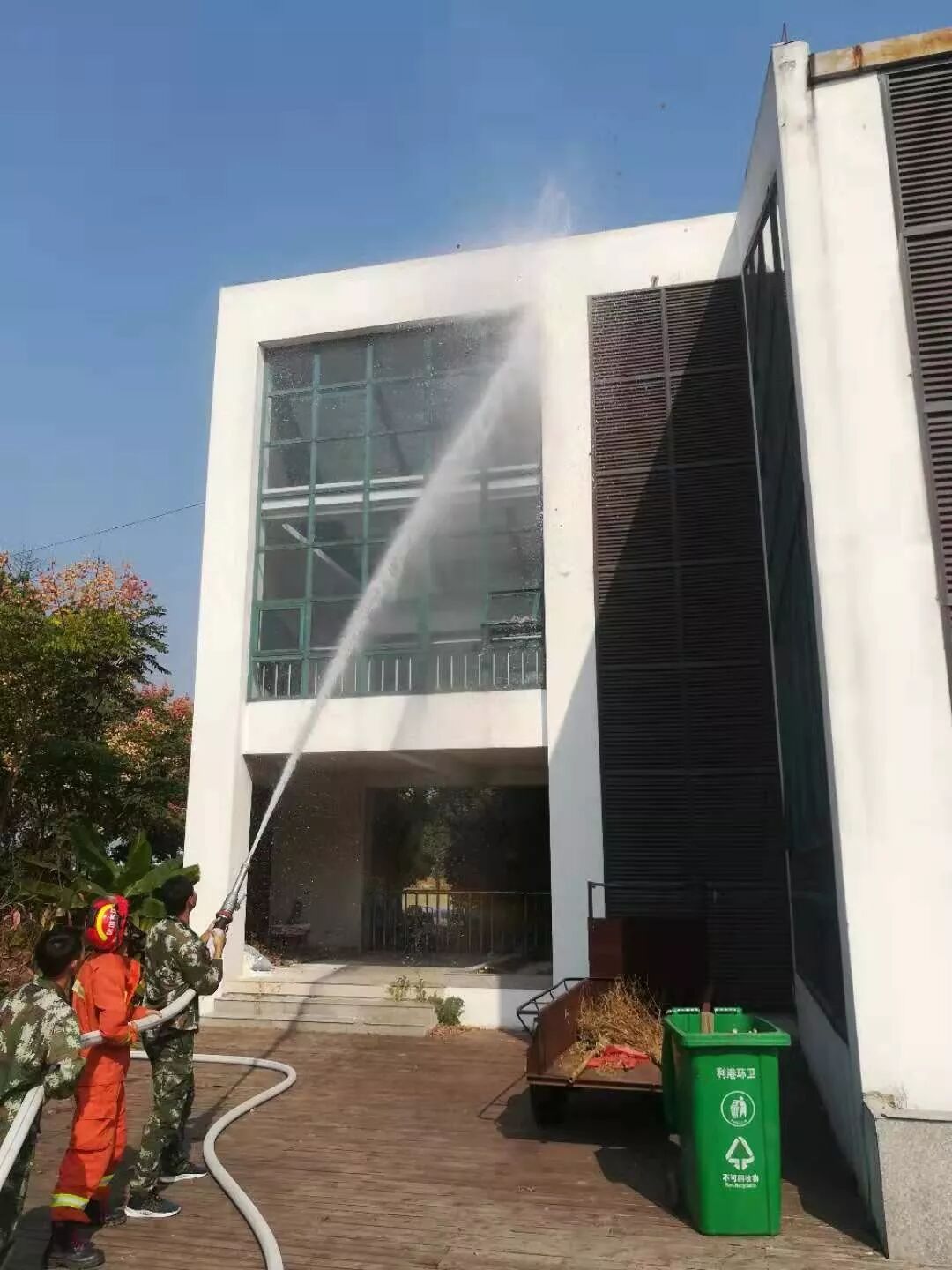 利港亲水湖公园的10余处马蜂窝 刚被端了