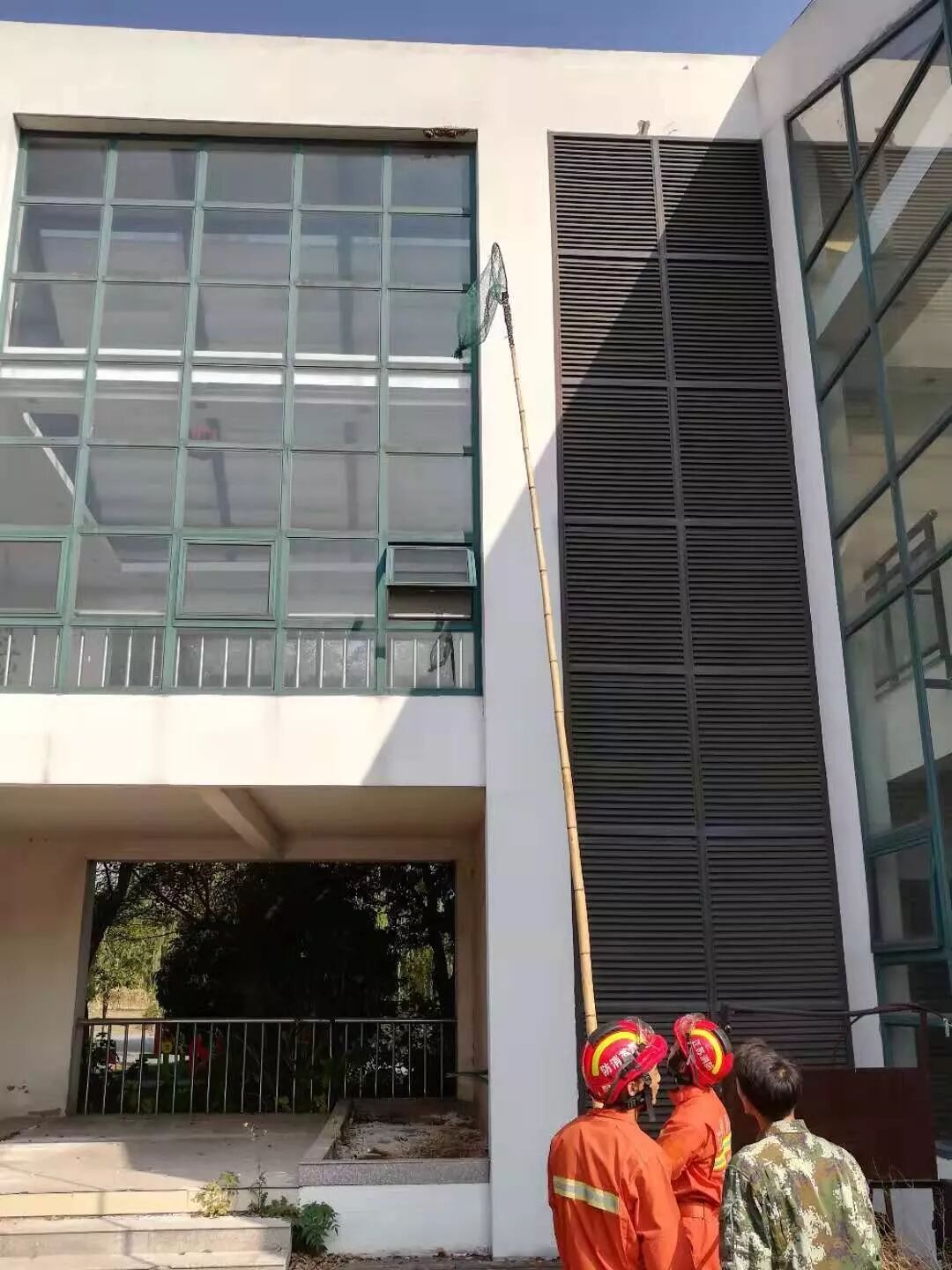 利港亲水湖公园的10余处马蜂窝 刚被端了