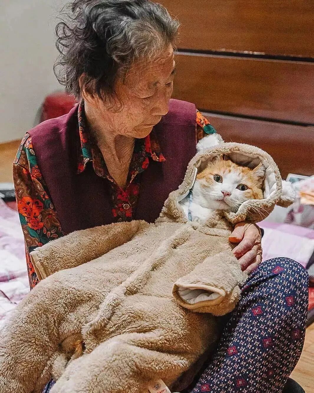 【宠物】老年痴呆的奶奶，把橘猫喂到32斤：这就是爱，我忘了你，但要让你吃饱饱（组图） - 23