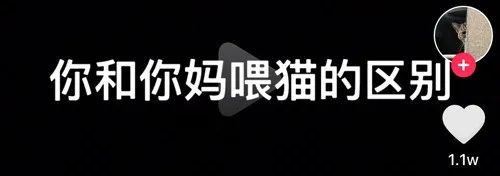 「我和我媽養貓的區別！」哈哈哈，真相了！ 寵物 第3張