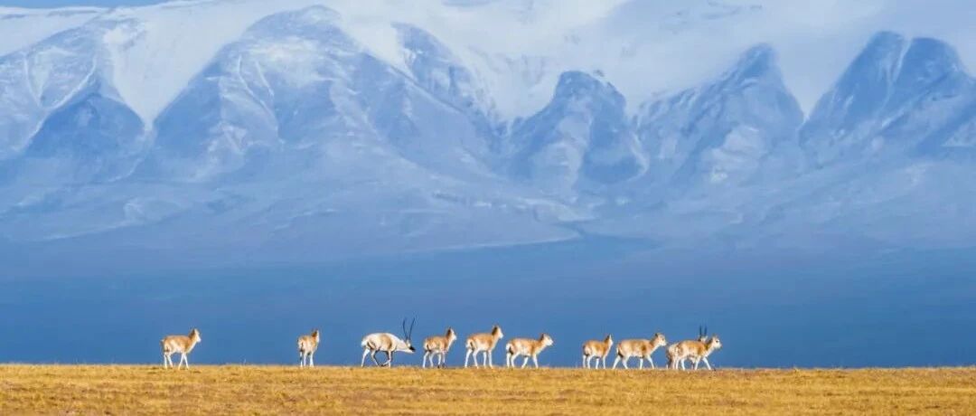 一项重大制度创新落地生根