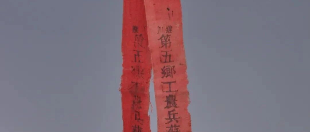 一条识别带：彰显“坚定执着追理想”