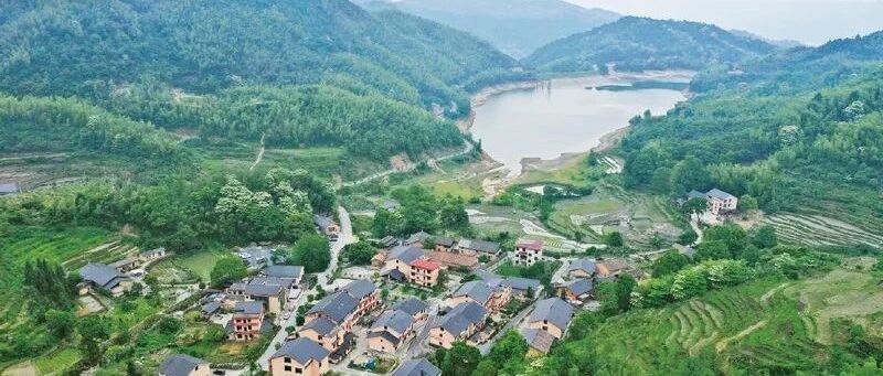 水口村富起来了
