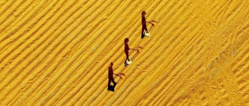 国民经济总体保持恢复态势 推动高质量发展取得新进展