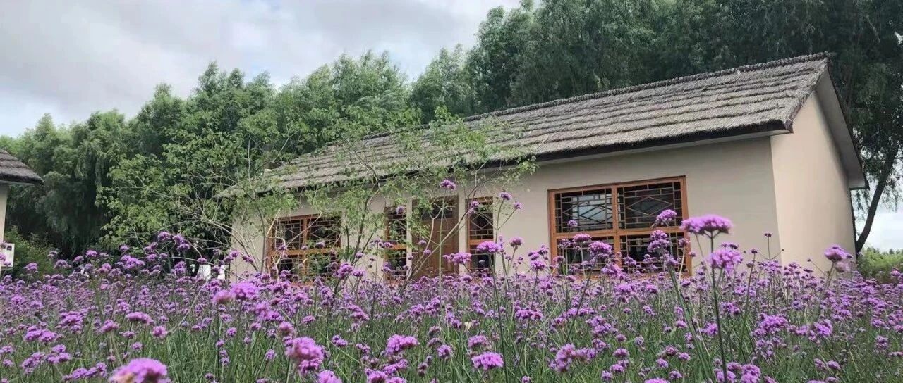 特色民宿中的致富密码