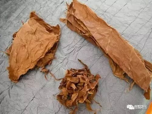 上等古巴雪茄的七大特征教你如何挑选雪茄