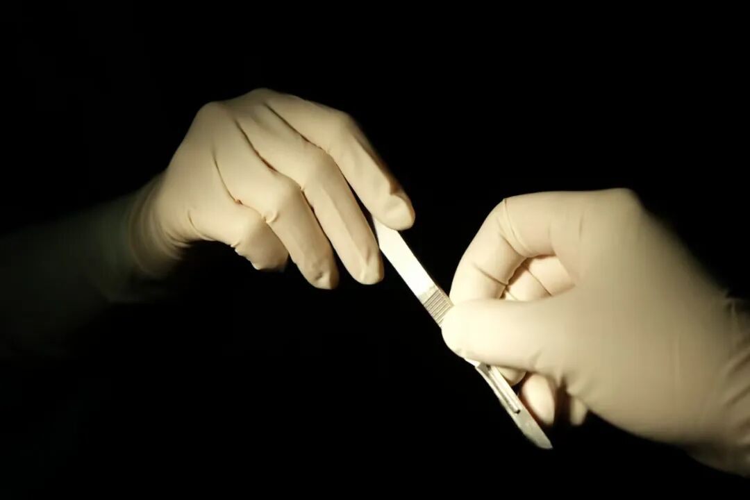 缝合时怎么持钳【你不知道的手术室】第4期：手术台旁的“神兵利器”——常用手术器械大盘点_https://www.jmylbn.com_新闻资讯_第3张