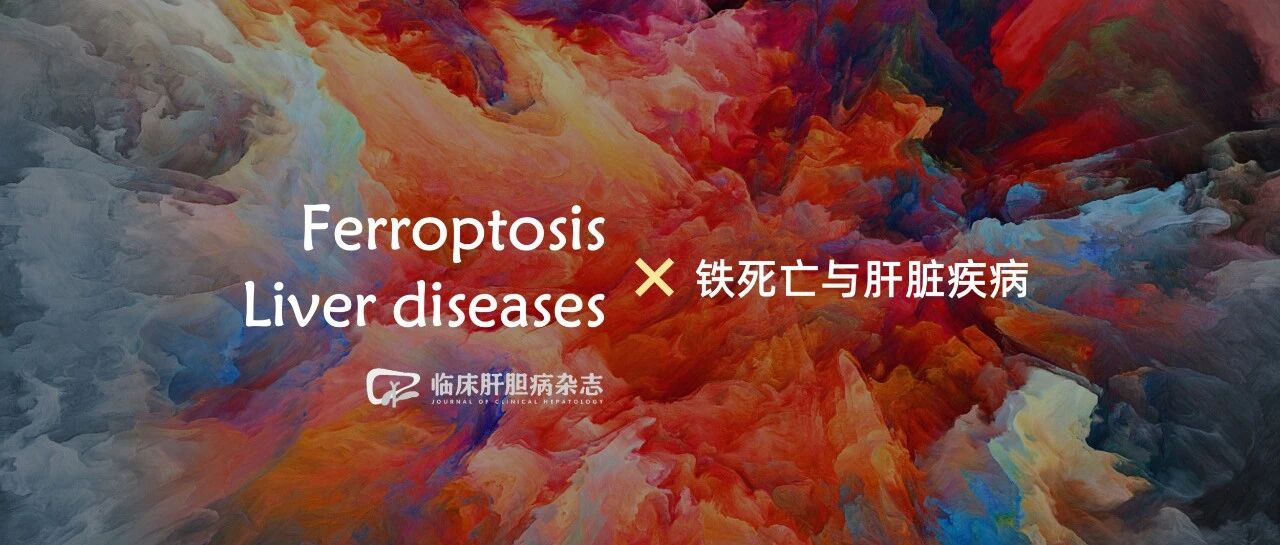 特别关注｜铁死亡与肝脏疾病