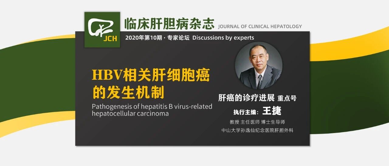 专家论坛｜王捷：HBV相关肝细胞癌的发生机制
