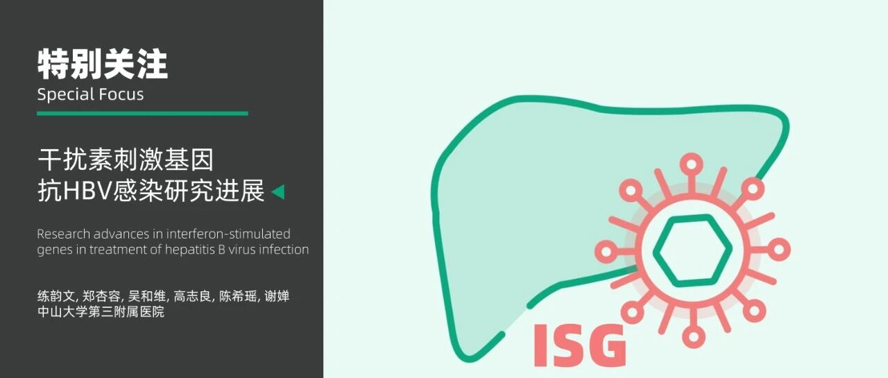 特别关注｜干扰素刺激基因与乙型肝炎