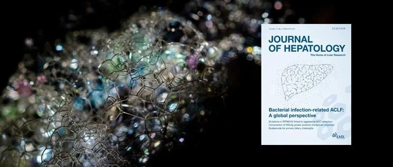 顶刊日报｜J Hepatol：声诺维超声造影可指导结直肠癌肝转移患者的治疗策略