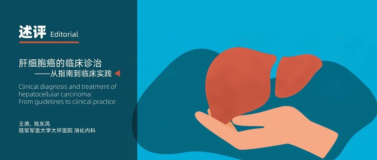 述评｜陈东风：肝细胞癌的临床诊治——从指南到临床实践
