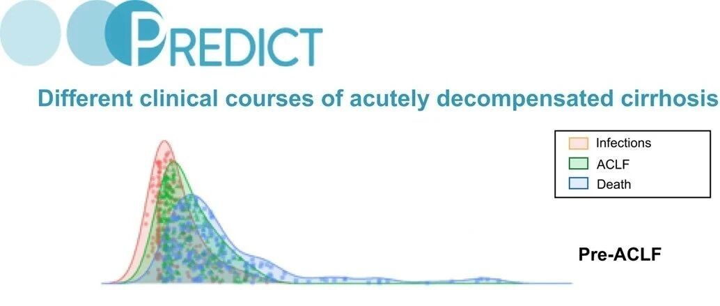 J Hepatol：预测研究揭示肝硬化急性失代偿具有三个不同病理生理学特征的临床病程