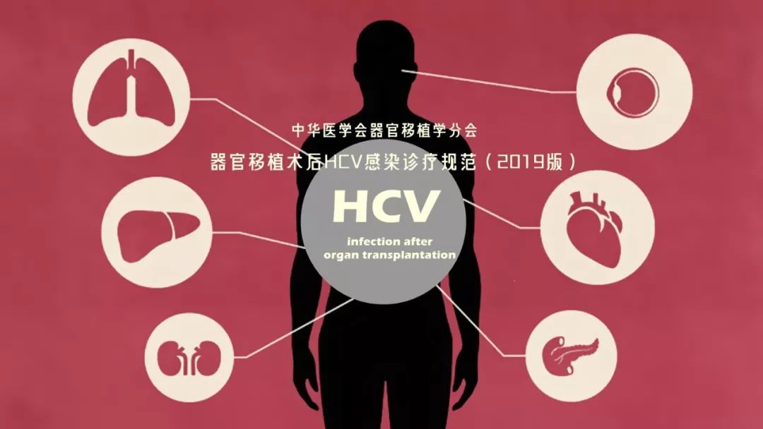 器官移植術後HCV感染診療規范（2019版） 健康 第1張