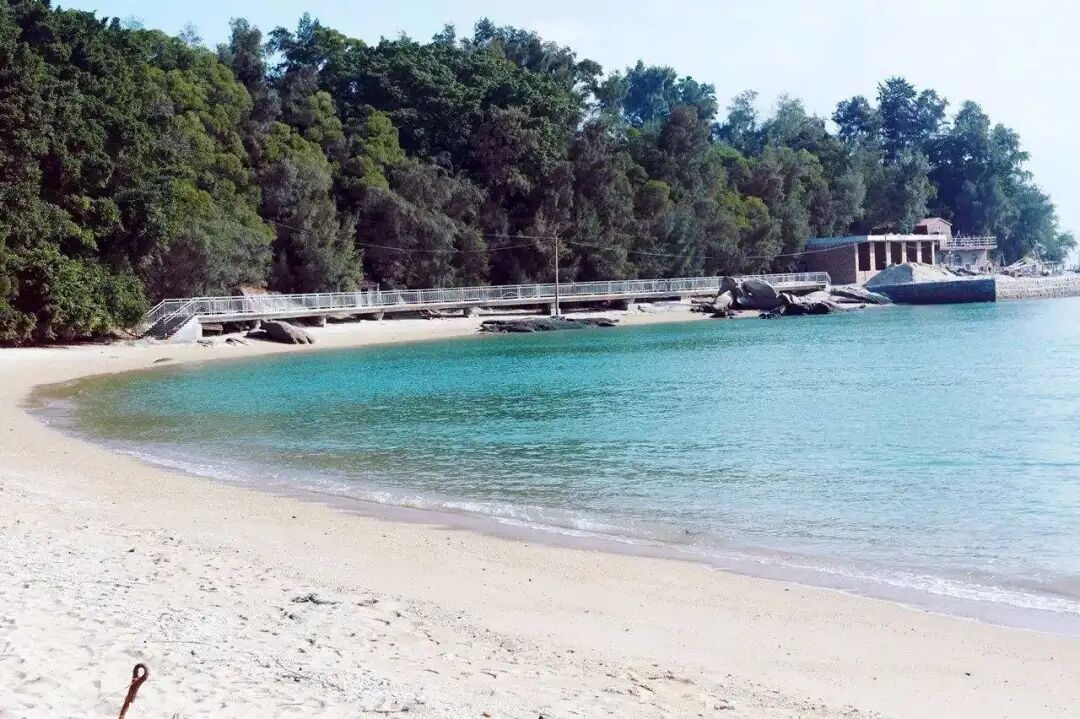 渔夫寻宝_渔夫寻宝系列_渔夫寻宝TXT小说免费下载