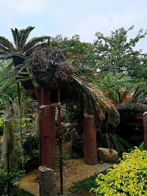 渔夫寻宝TXT小说免费下载_渔夫寻宝_渔夫寻宝系列