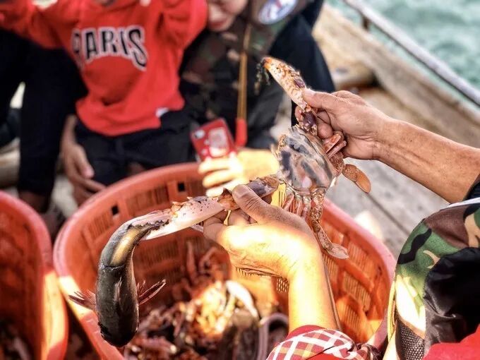 渔夫寻宝_渔夫寻宝TXT小说免费下载_渔夫寻宝系列