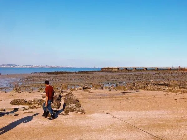 渔夫寻宝_渔夫寻宝TXT小说免费下载_渔夫寻宝系列