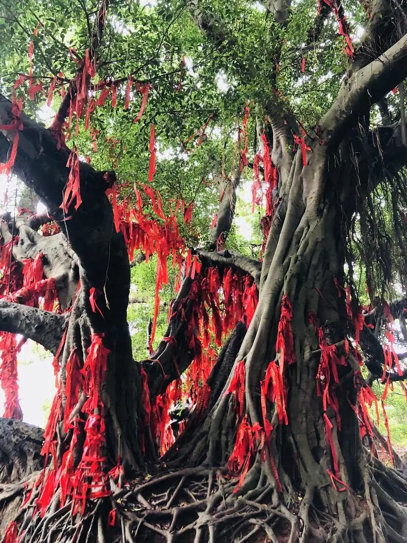 渔夫寻宝_渔夫寻宝TXT小说免费下载_渔夫寻宝系列