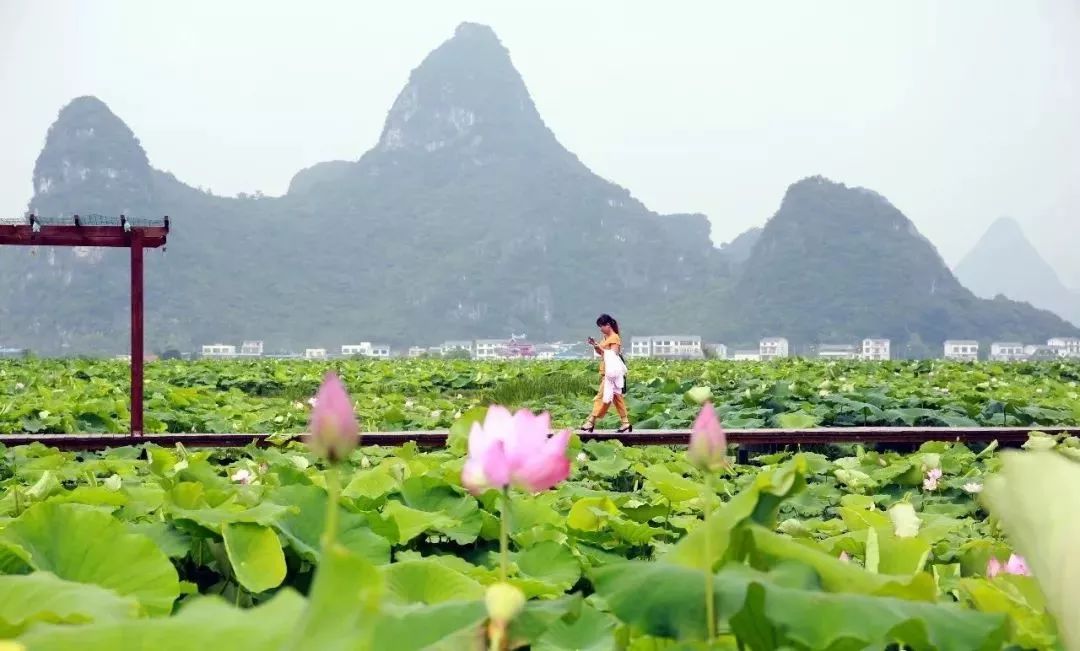 柳江正式向全國發出邀請！桂林/南寧/北海...全廣西都羨慕了 旅遊 第48張