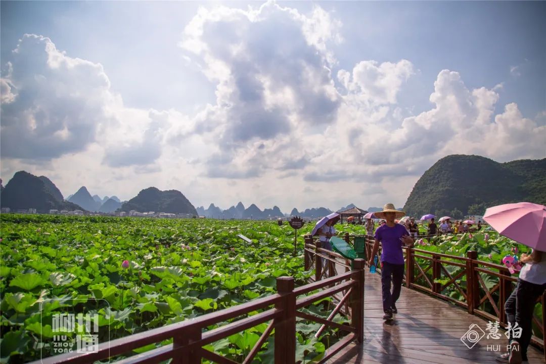 柳江正式向全國發出邀請！桂林/南寧/北海...全廣西都羨慕了 旅遊 第43張