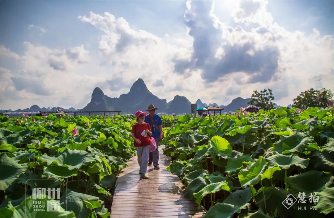 柳江正式向全國發出邀請！桂林/南寧/北海...全廣西都羨慕了 旅遊 第47張