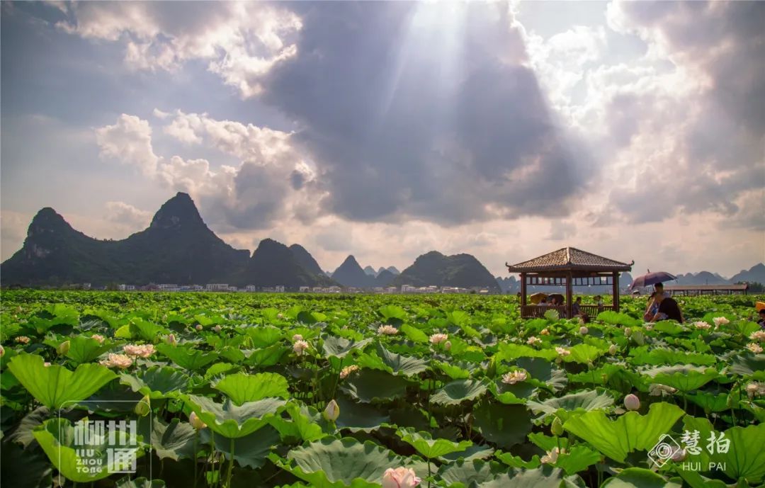 柳江正式向全國發出邀請！桂林/南寧/北海...全廣西都羨慕了 旅遊 第26張