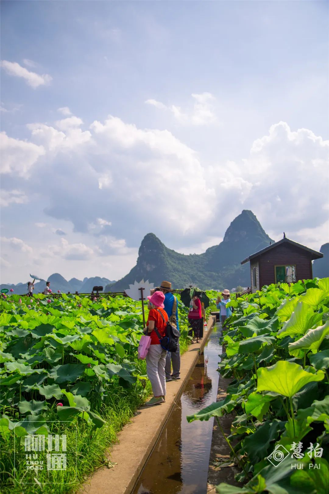 柳江正式向全國發出邀請！桂林/南寧/北海...全廣西都羨慕了 旅遊 第30張