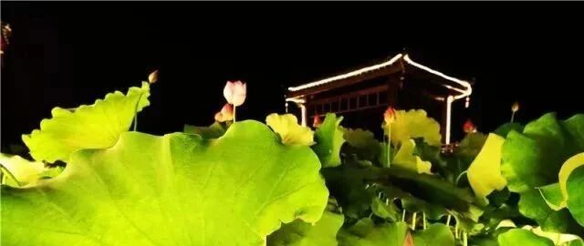 柳江正式向全国发出邀请！桂林/南宁/北海...全广西都羡慕了