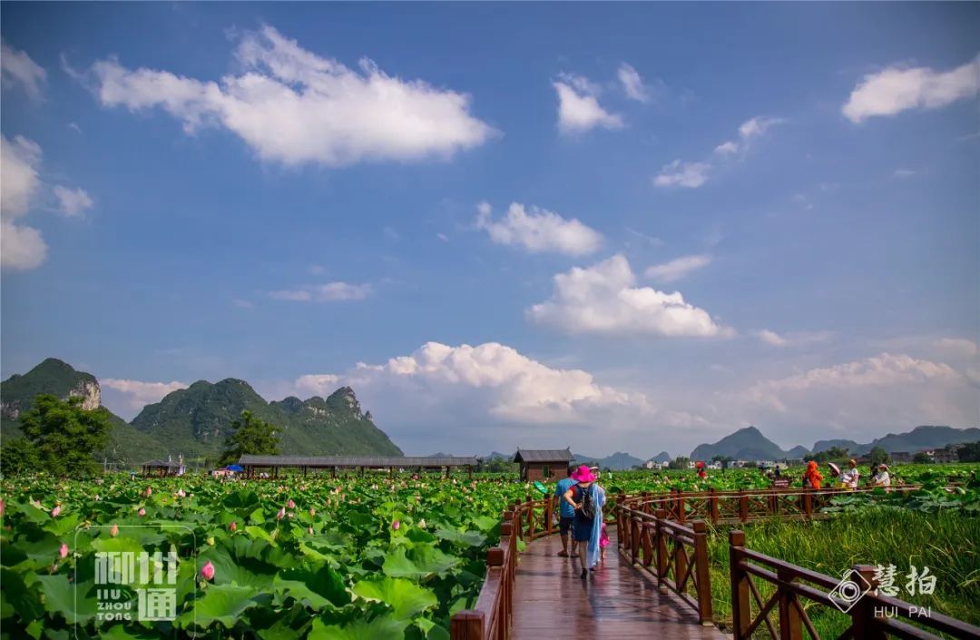 柳江正式向全國發出邀請！桂林/南寧/北海...全廣西都羨慕了 旅遊 第46張