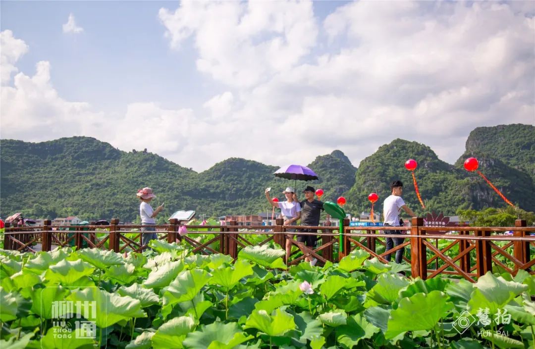 柳江正式向全國發出邀請！桂林/南寧/北海...全廣西都羨慕了 旅遊 第44張