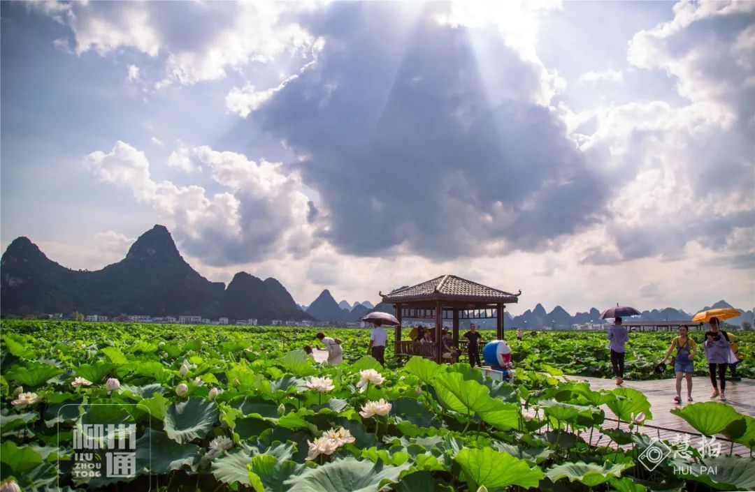 柳江正式向全國發出邀請！桂林/南寧/北海...全廣西都羨慕了 旅遊 第45張