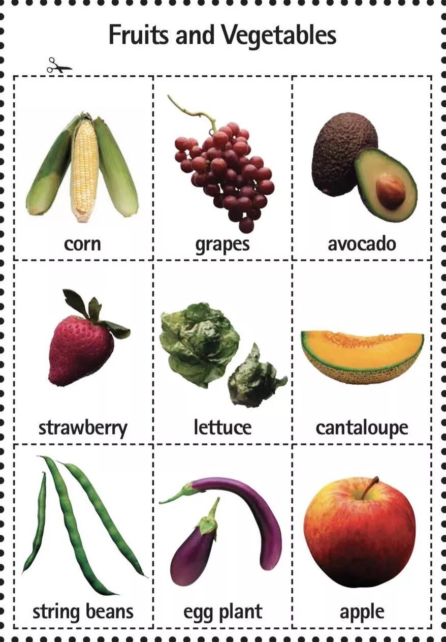 小伴龙英语生活词汇第13集_蓝莓英语_飞跃教育英语小本的词汇辨析