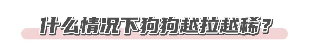 狗狗拉屎前面成型后面拉稀
