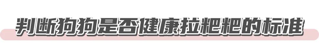 狗狗拉屎前面成型后面拉稀
