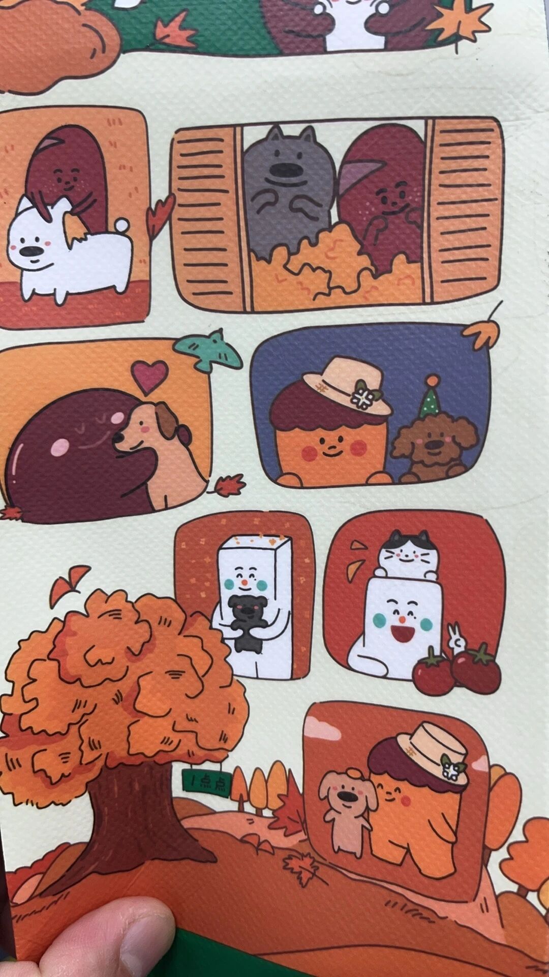 婷总的衣橱