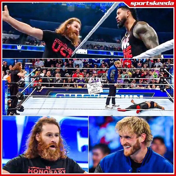 海王博客_海王seaking微博卖了_海王微博