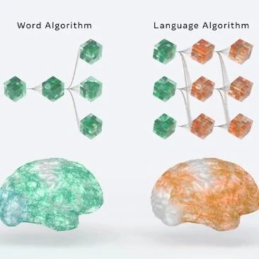 Meta AI开启「解剖大脑」计划，深度学习瓶颈从自然语言突破