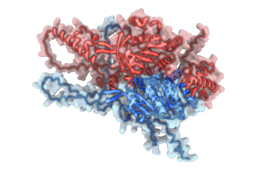 science重磅:alphafold2从830万蛋白质中挑出了700种