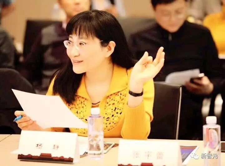 一个核心话题:创业公司的ip思维以及ip流氓 新智元创始人杨静在评审会