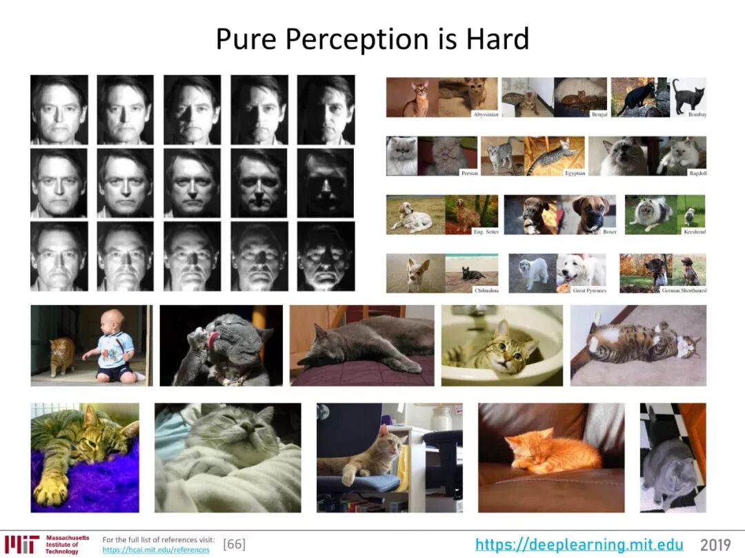 640?wx_fmt=jpeg&wxfrom=5&wx_lazy=1&wx_co=1