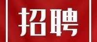 三沙市财政国库支付局关于2023年招聘劳务派遣人员的公告（第1号）