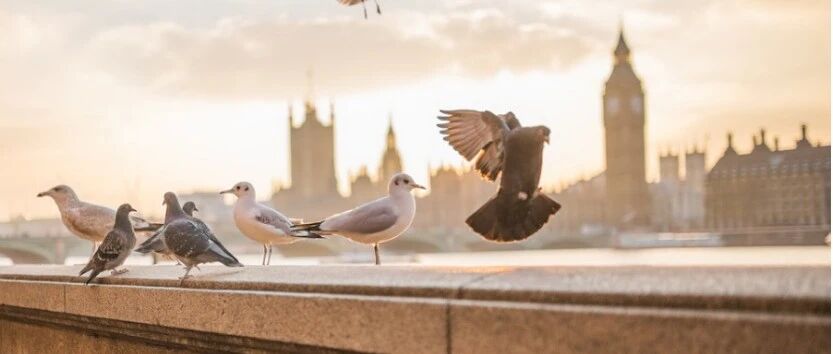 英国旅行“红绿灯”系统更新，传播率R已小于1！