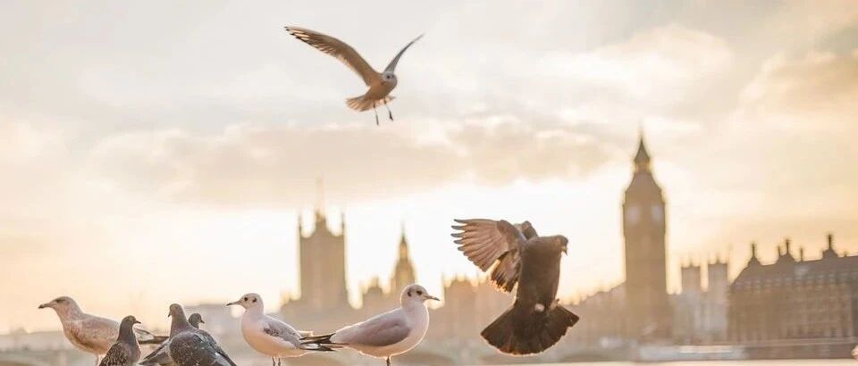 留学英国，先了解一下当地治安情况！