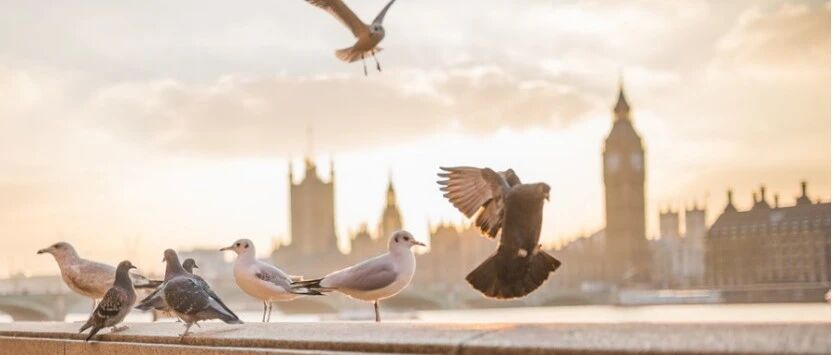去英国留学需要多少钱，附伦敦城市消费详情！