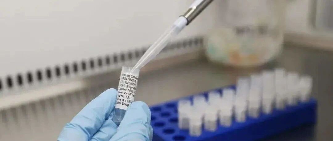 好消息！牛津疫苗进入审批阶段，英国各大超市纷纷给学生免费送物资！