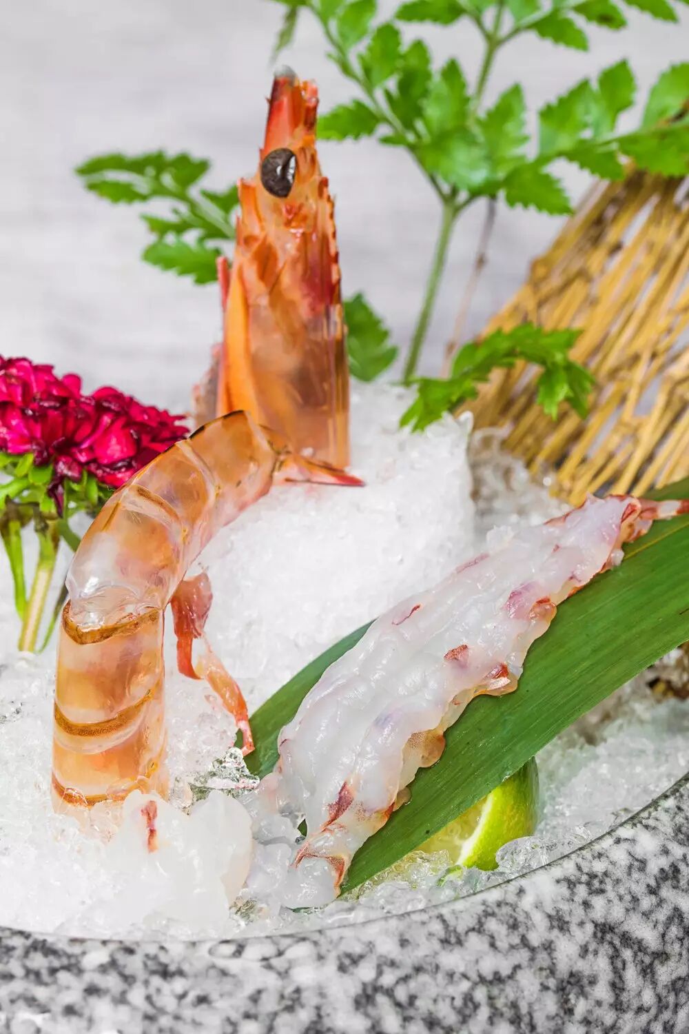 比一餐手掌还长出一段的竹节虾,看起来就很厉害!