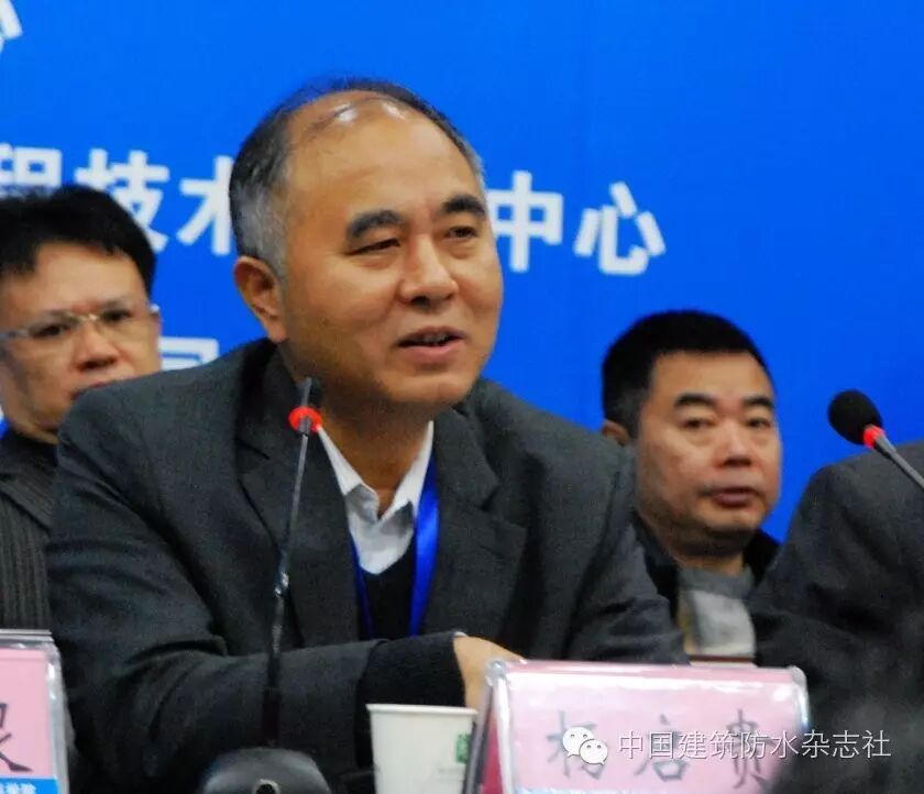 (长江勘测规划设计研究院副院长,总工程师杨启贵致辞)