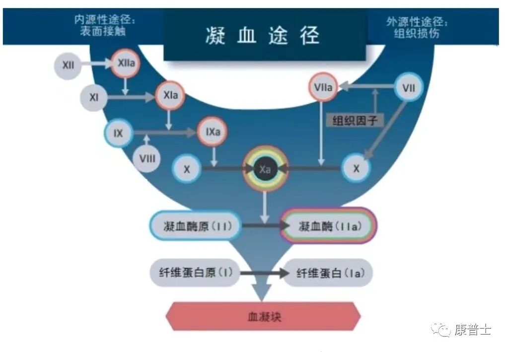 凝血分析有什么意义全面解析血栓弹力图-上海聚慕医疗器械有限公司