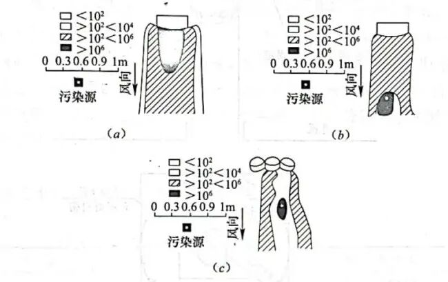 无影灯怎么安装洁净手术室基本装备-无影灯安装技术要点_https://www.jmylbn.com_新闻资讯_第6张